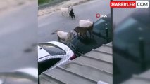 Arnavutköy'de keçilerin tepindiği otomobilde hasar oluştu