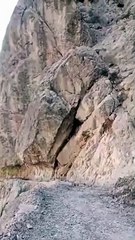 Nurture is life stone sliding