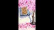 Short video - DRAW A WINDOW FRAME NEXT TO A TREE WITH PINK FLOWERS, A ROMANTIC SCENE OF FALLING FLOWERS