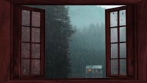 Rain Sounds for Sleep - Open Window Rain Sounds - Heavy Rain Sounds - 1 hour (1080p)