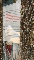 L’ENVIRONNEMENT agreable de la capitale allemande