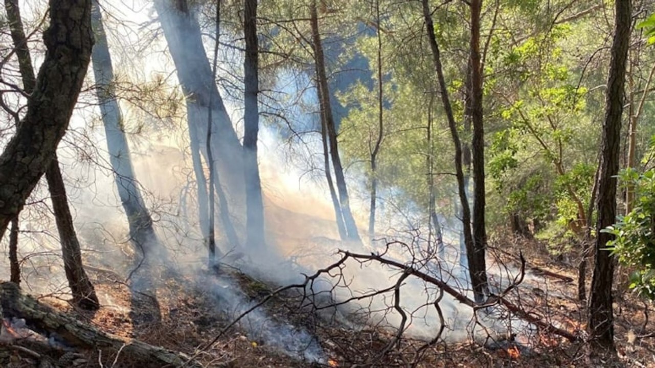 Yıldırım isabet eden ormanlık alanda çıkan yangın söndürüldü