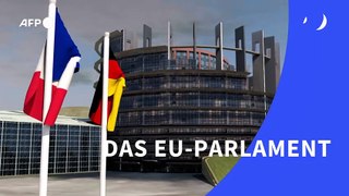 Videografik: Das EU-Parlament