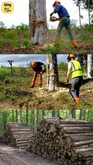 Wake Up! It’s Already Late || Acharya Prashant