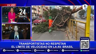 Luis Quispe Candia: Accidentes en  Av. Brasil se deben a que esta vía carece de señales de velocidad