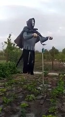 The dungeons Halloween  ghost flying