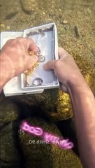 Echoes of the Abyss: A Deep Sea Expedition