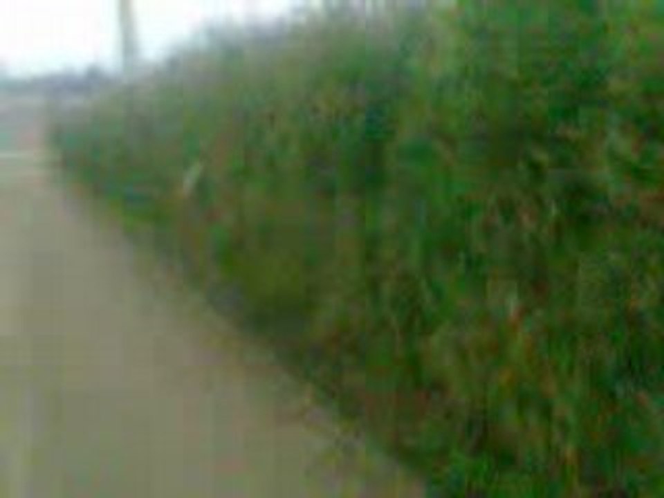 Vidéo002