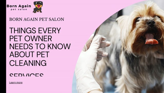 Things every pet owner needs to know about pet cleaning services CA