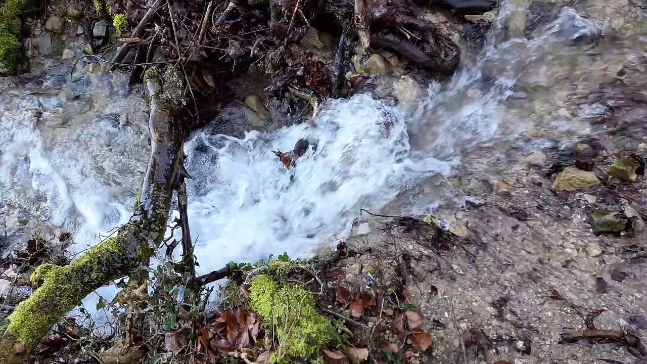 3706333-uhd_3840_2160_30fps