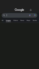 Je vous montre ma chatte !