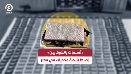«أسماك بالكوكايين» إحباط شحنة مخدرات في مصر