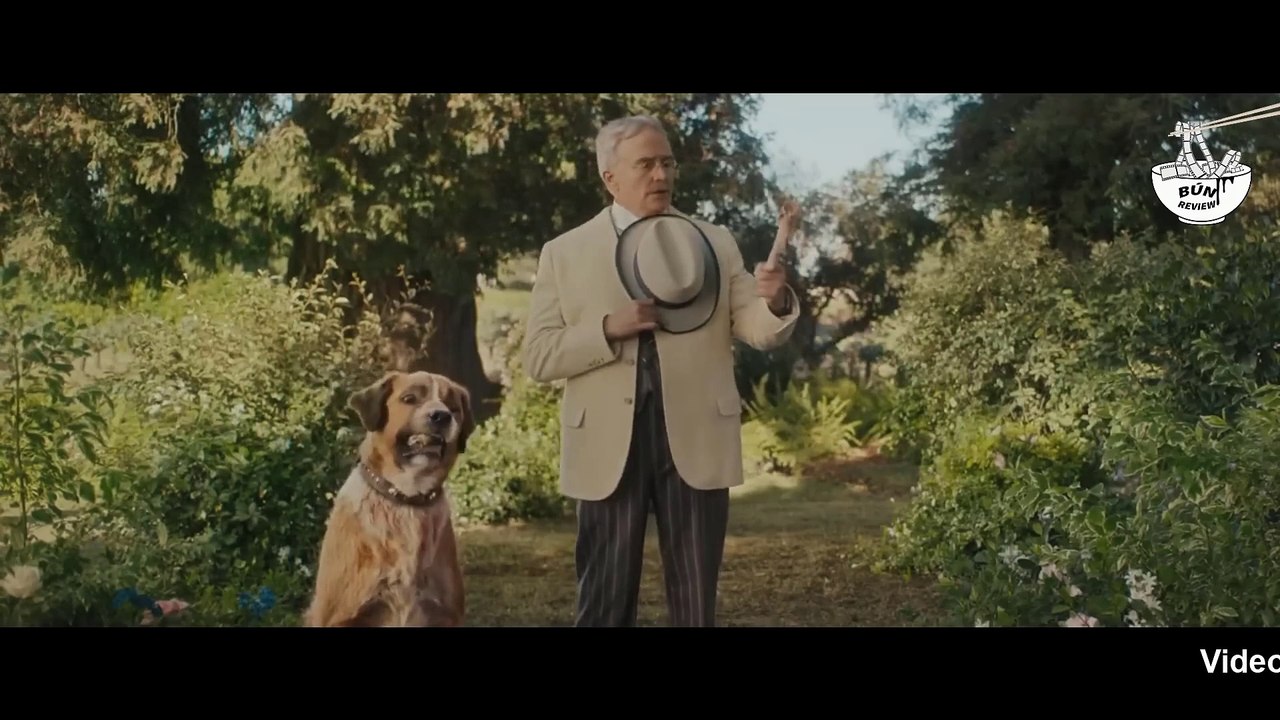 Chú chó nhà này đã sánh đôi với cô sói hoang dã - REVIEW PHIM - TIẾNG GỌI NƠI HOANG DÃ