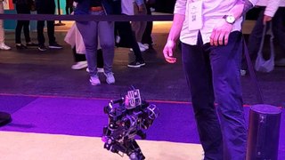 Robots jugando al fútbol de la startup Rhoban, fundada por la Universidad de Bordeaux.