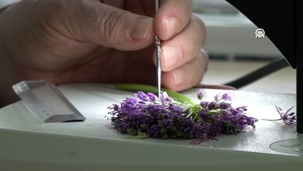 Dev soğan bitkileri Van YYÜ'de koruma altına alındı