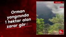 Balıkesir'de orman yangınında 1 hektar alan zarar gördü