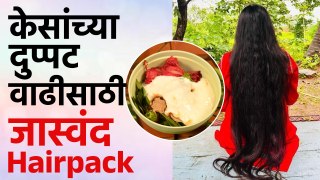 Jaswand Hairpack  : केसगळती थांबवण्यासाठी आणि केसांची वाढ होण्यासाठी जास्वंद Hairpack