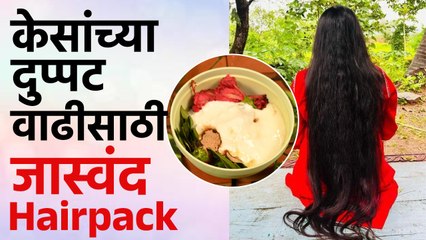 Jaswand Hairpack  : केसगळती थांबवण्यासाठी आणि केसांची वाढ होण्यासाठी जास्वंद Hairpack