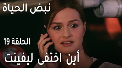 مسلسل نبض الحياة الحلقة 19 - أين اختفى ليفينت