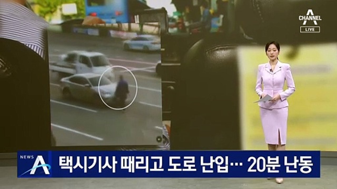 택시기사 때리고 도로 난입…20분 난동