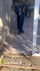 Roubo luxuoso: suspeito de levar Rolex de motorista de Lamborghini em São Paulo é preso em Curitiba