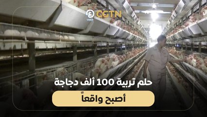 حلم تربية 100 ألف دجاجة أصبح واقعاً