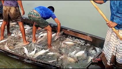 ALLAH ke raza ka haqiqi mayar | iman ko taza krdene wali mukhtasir bat.