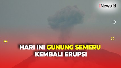 Keluarkan Letusan Abu Vulkanik Capai 900 Meter, Gunung Semeru Kembali Erupsi Hari Ini