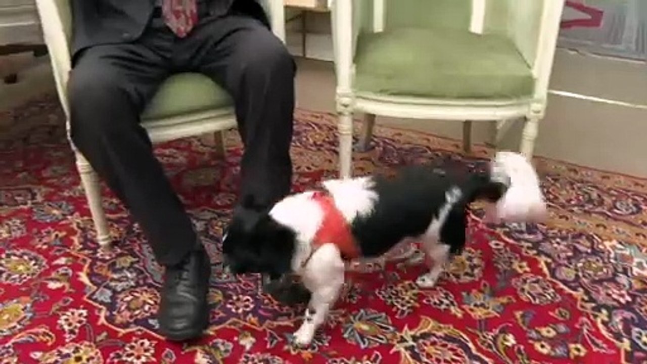 Nazijäger beate und serge klarsfeld erhalten in berlin französischen verdienstorden