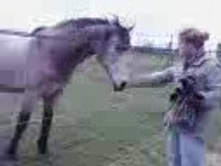 quand on arrive au champ