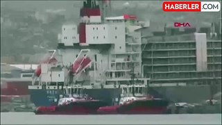 Brezilya'dan ithal edilen 27 bin angus dev gemiyle Türkiye'ye getirildi