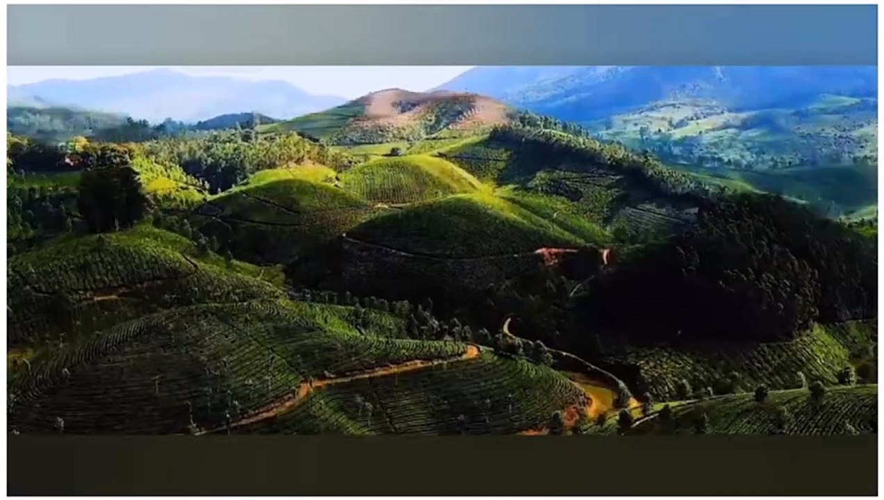 Natural Video 