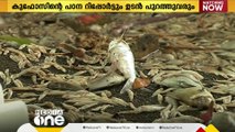 പെരിയാറിൽ മത്സ്യങ്ങൾ ചത്തുപൊങ്ങിയതിൽ പത്ത് കോടിയിലേറെ നഷ്ടം