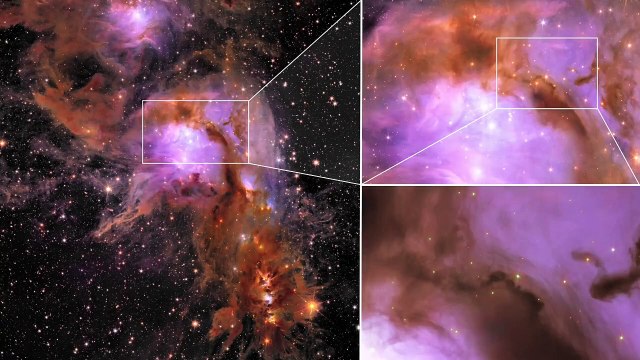 La misión Euclid logró cinco imágenes sin precdentes del universo