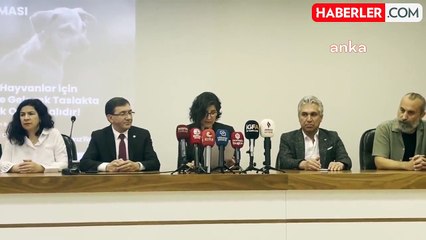 Bursa Veteriner Hekimleri Odası, sahipsiz köpeklerin 'uyutulması' önerisine tepki gösterdi