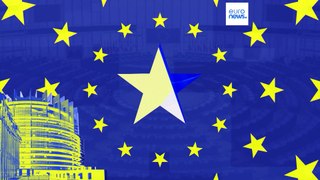 European elections: What do voters want and candidates promise on fiscal policies?