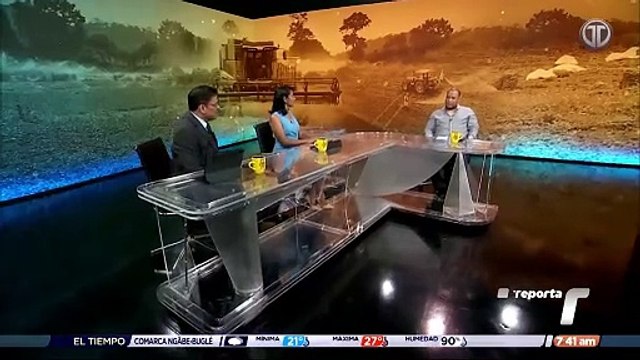 Aclaran que deuda del MIDA con productores de arroz supera los B/.60 millones