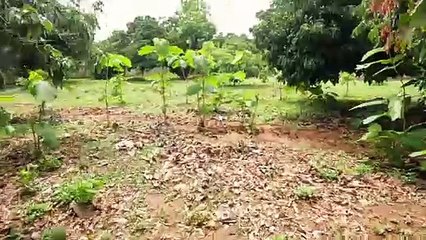 Wasser -  Neues Projekt auf der Farm