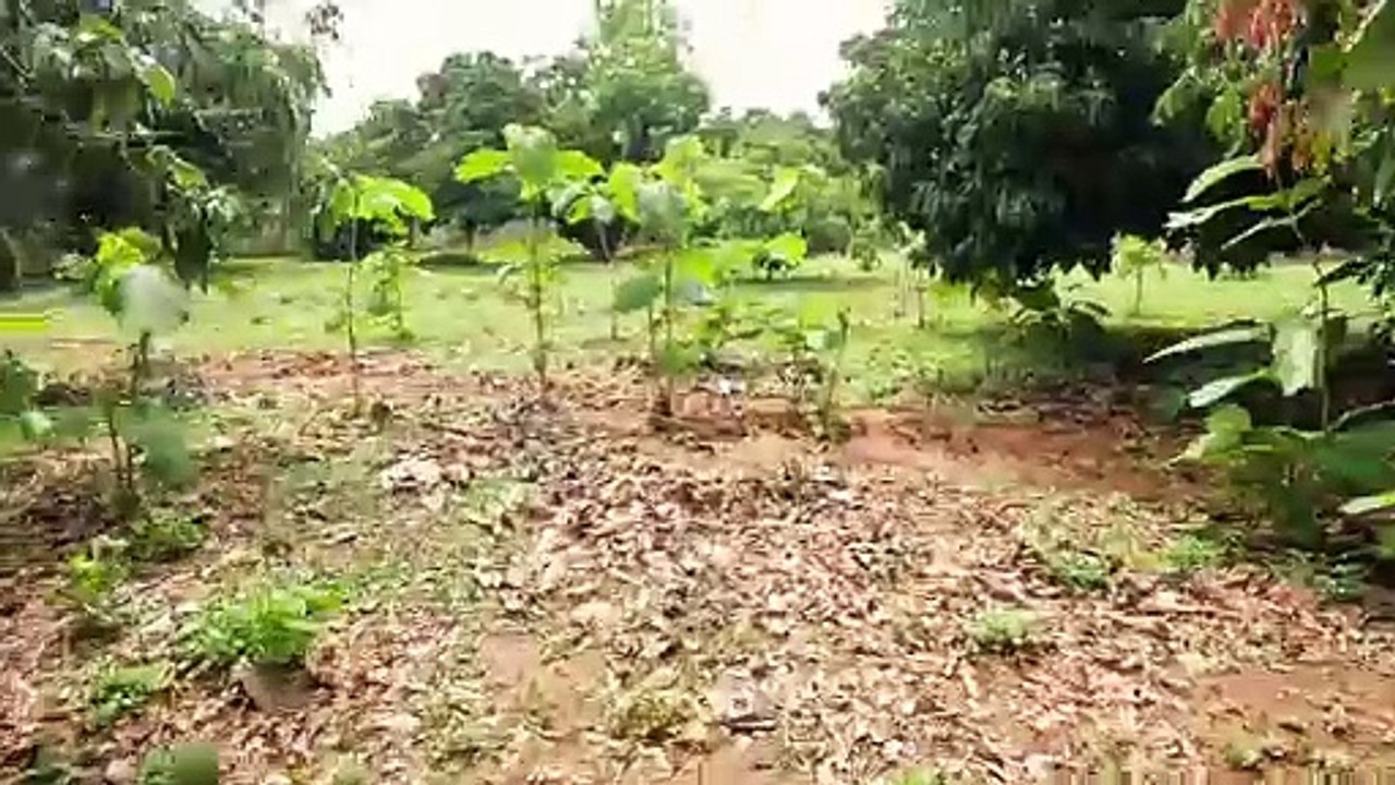 Wasser -  Neues Projekt auf der Farm