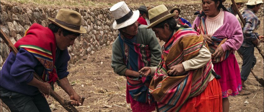 Axomama, une histoire de pomme de terre Bande-annonce VF