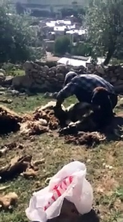 İlihili Dengbej HISEN