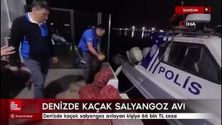 Denizde kaçak salyangoz avlayan kişiye 66 bin TL ceza