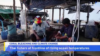 Thailand's Coral Bleaching Crisis is Devastating Reefs and Fishing Communities