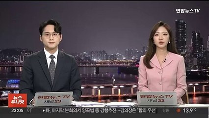 여, 22대 국회서 '김정숙 특검' 도입 검토