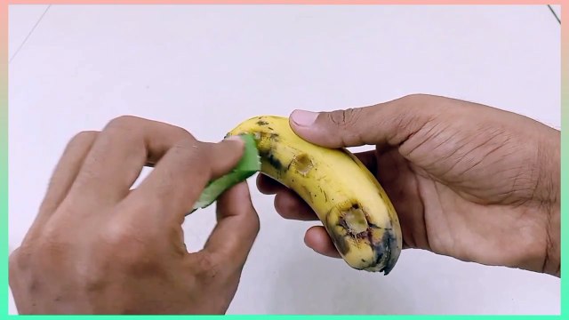 Best Skills how to grow Grape and Cherry fruit in Grape tree | Unique Idea of Propagation