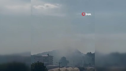 Alanya’da ormanlık alanda yangın