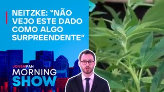 USO diário de MACONHA SUPERA o de ÁLCOOL nos EUA; ENTENDA