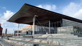 Senedd summary: Period poverty and a minister is sacked