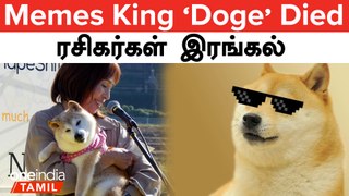 Memes Fame Kabosu Doge உயிரிழப்பு | ரசிகர்கள் சோகம் | Oneindia Tamil