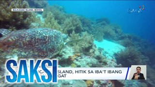 Balicasag Island, hitik sa iba't ibang yamang dagat | Saksi